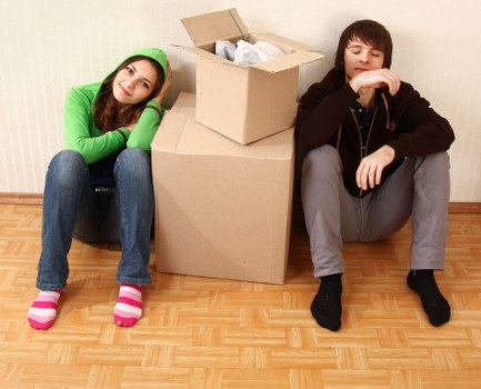 Professional van transport for flats and offices in Paddington
